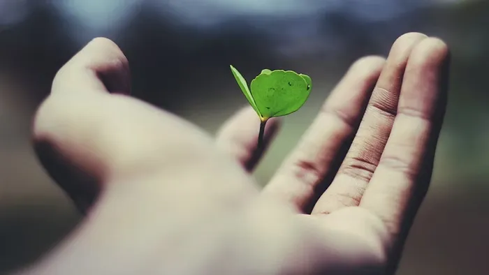 Transformando Experiencias en Crecimiento Lecciones que Inspiran